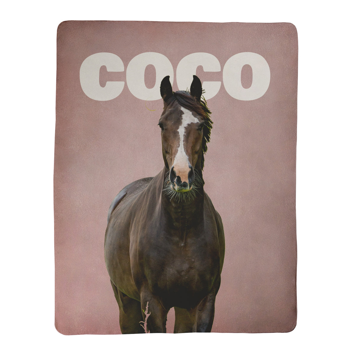 Horse Photo and Text Blanket - 1 Horse, 1 Photo